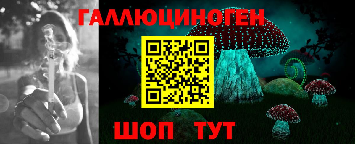Псилоцибиновые грибы Psilocybine cubensis Курчатов