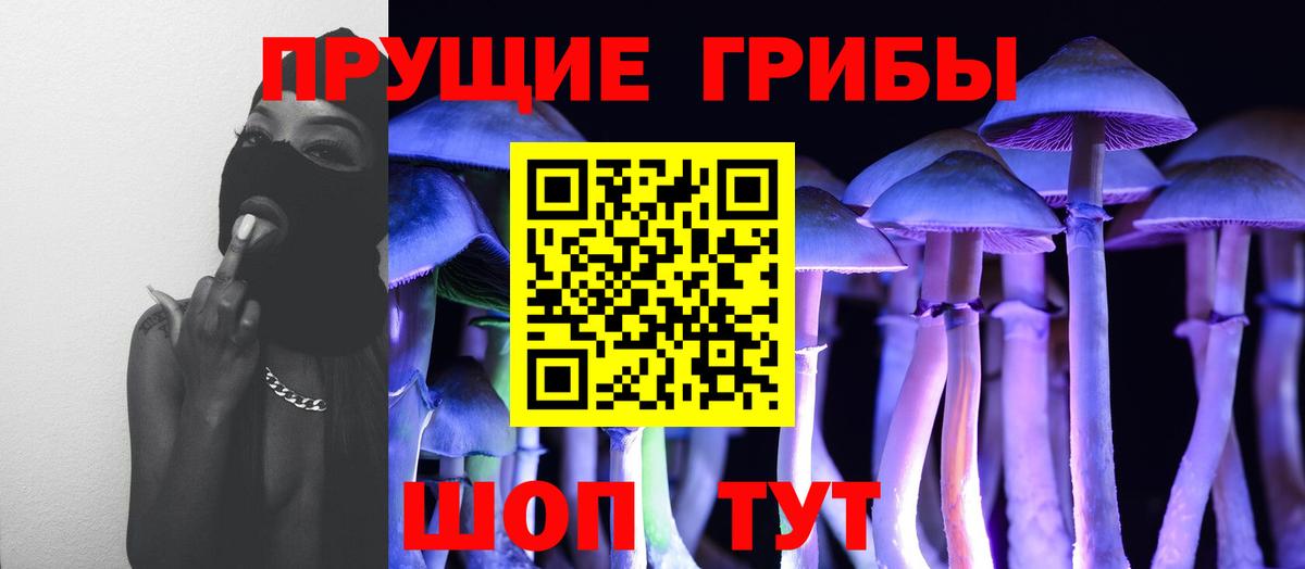 Псилоцибиновые грибы MAGIC MUSHROOMS  Вход с VPN  Курчатов 